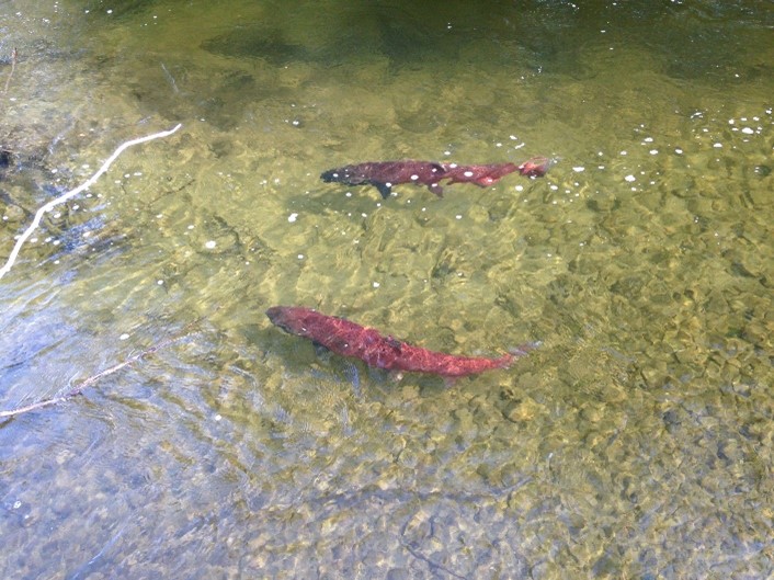 Featured News with Image 2